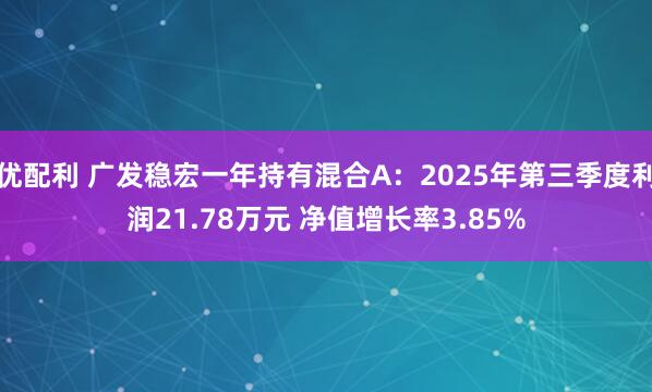 优配利 广发稳宏一年持有混合A：2025年第三季度利润21.78万元 净值增长率3.85%