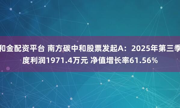 和金配资平台 南方碳中和股票发起A：2025年第三季度利润1971.4万元 净值增长率61.56%